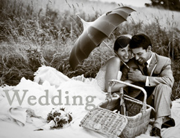 Wedding Gallery Link