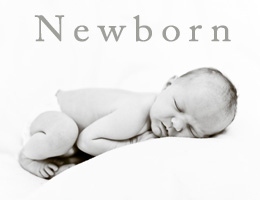 Newborn Gallery Link